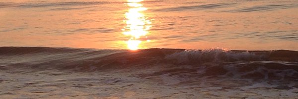 AngieLIsbell Profile Banner