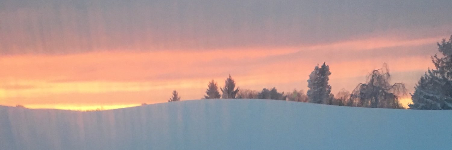 pambolger's profile banner image