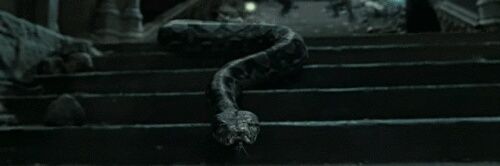 _tomriddle___'s profile banner image