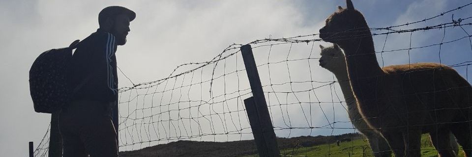 fecaetanohc's profile banner image