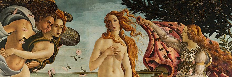 CinderVenus's profile banner image
