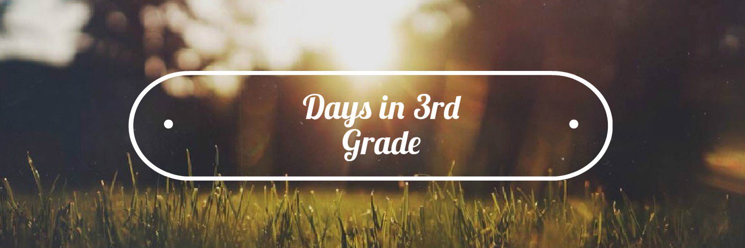 daysin3rdgrade's profile banner image