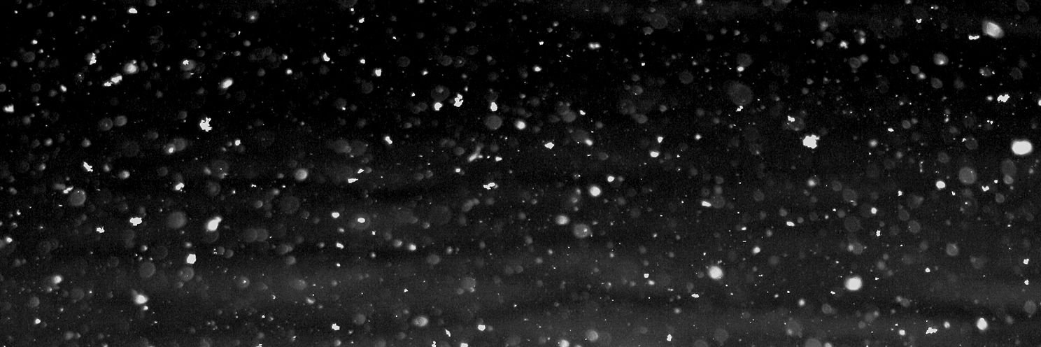 ericamattelin's profile banner image
