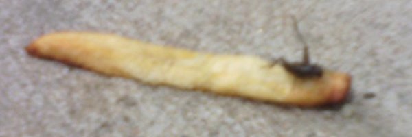 LifeEmployee's profile banner image