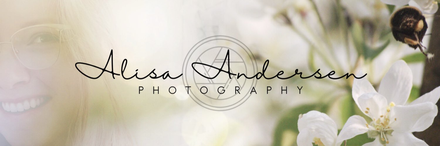 Andersen Photography banner