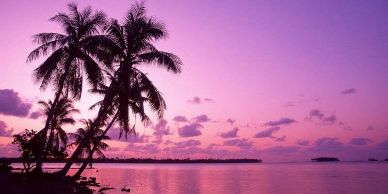 ja_kat's profile banner image