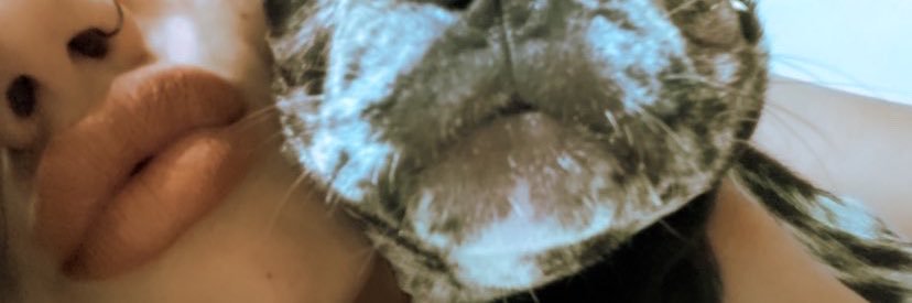 stitchgi's profile banner image