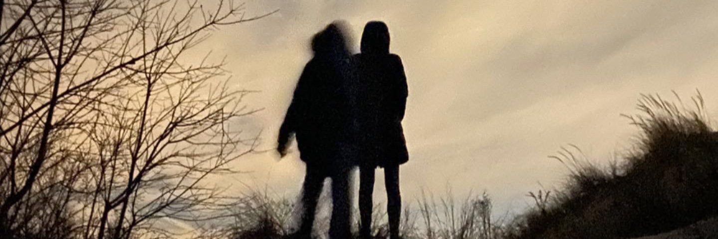 tarabruno's profile banner image