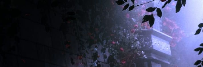 ٬٬ bianca；semi ia's banner