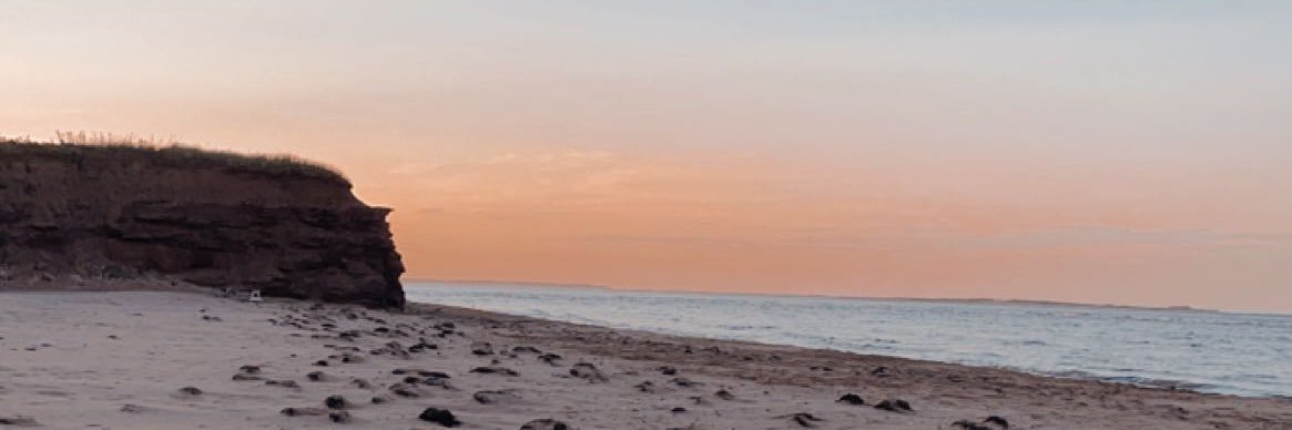 kinleynelson15's profile banner image