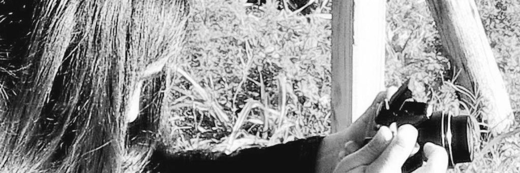 ferdeuruguay's profile banner image