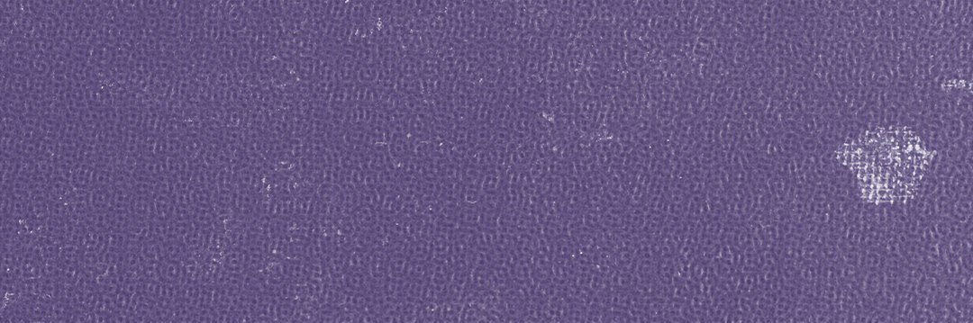 LovedInPenn's profile banner image