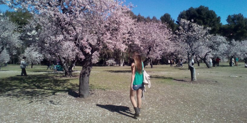 RaquelGnm's profile banner image