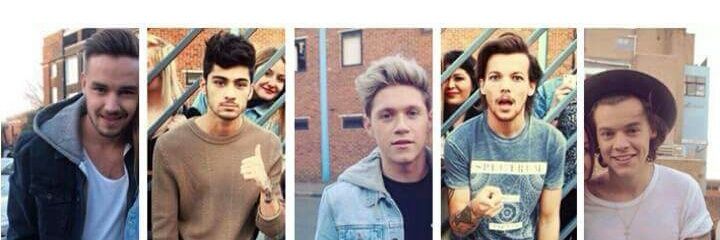 1Dbelievers06's profile banner image