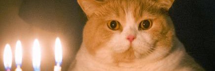 katya_strophe's profile banner image