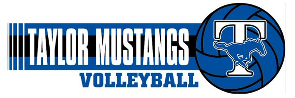 taylor_vball Profile Banner