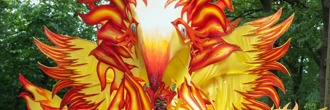 sheffcarnival's profile banner image