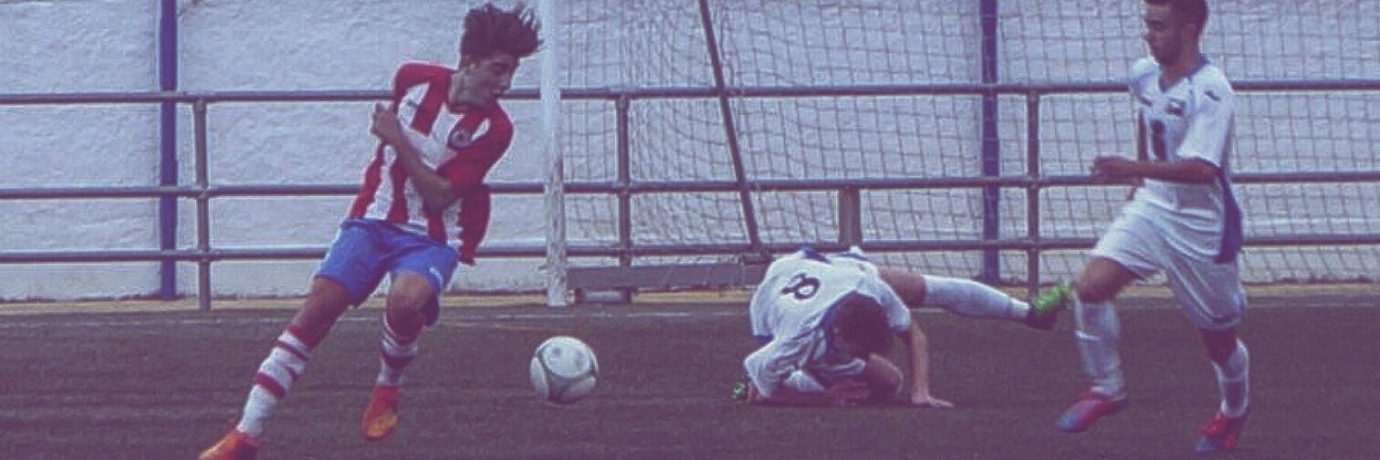 Borja banner