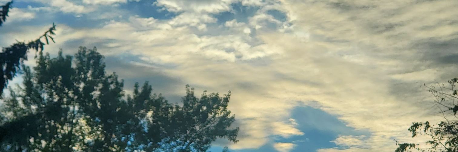 siddyrtr67's profile banner image