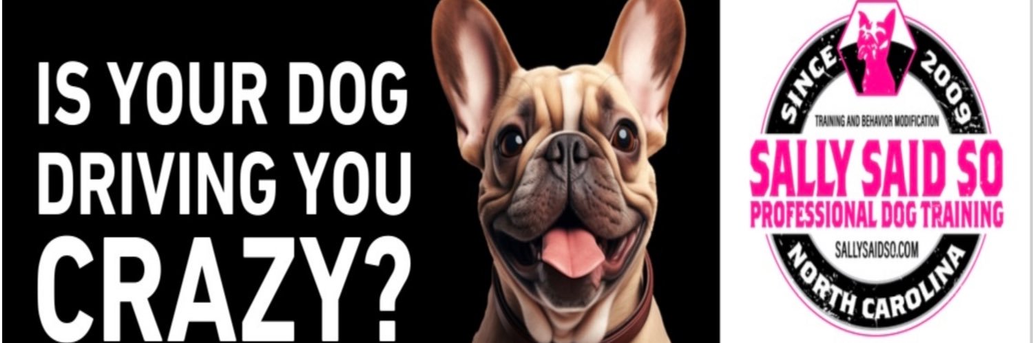 sally_saidso's profile banner image