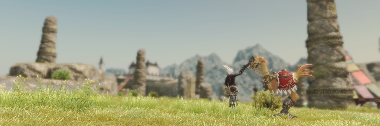 negidonFF14's profile banner image