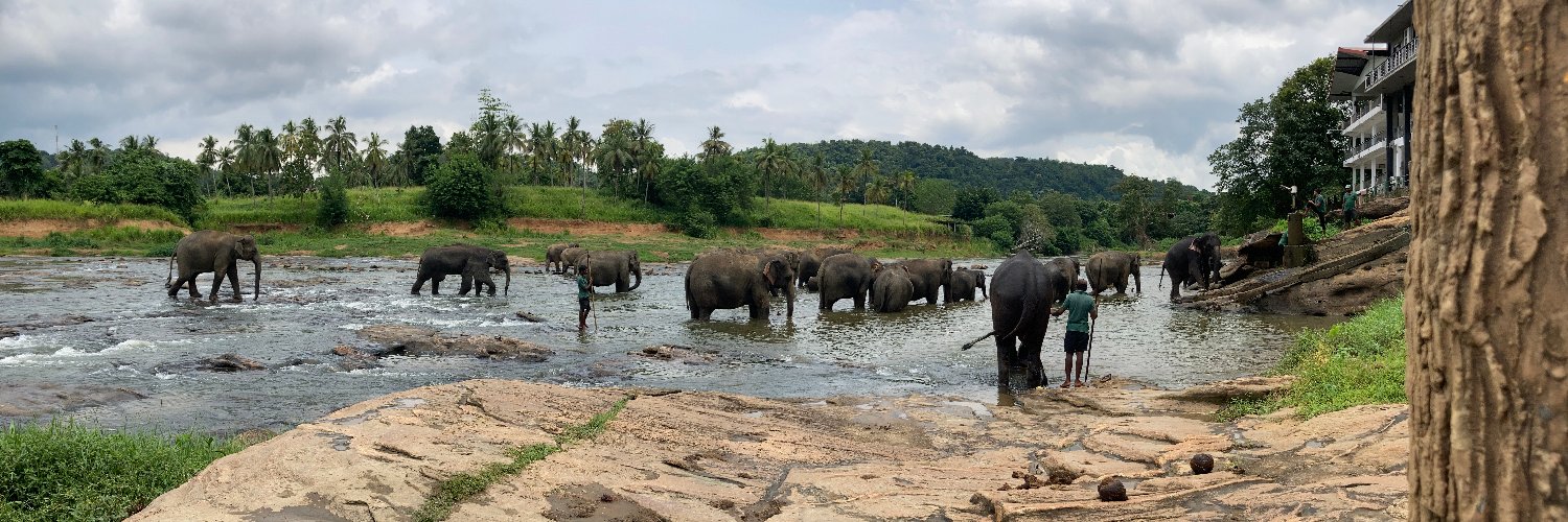 Isuru Seneviratne banner