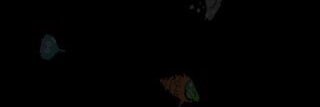 ikeriko1's profile banner image