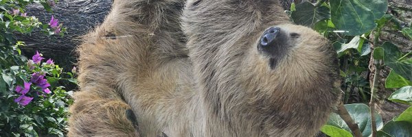 mattaj63 Profile Banner