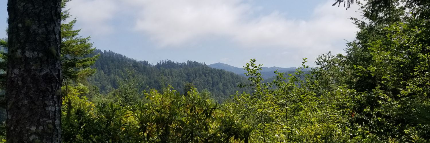NaturalSyzygy's profile banner image
