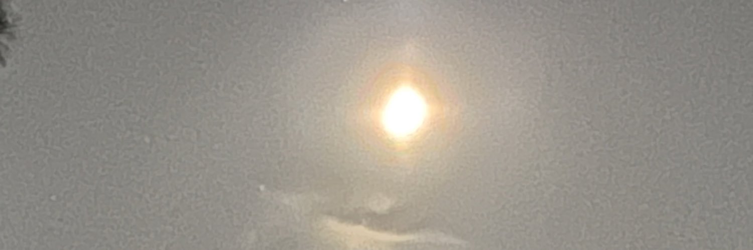 FludSarah's profile banner image