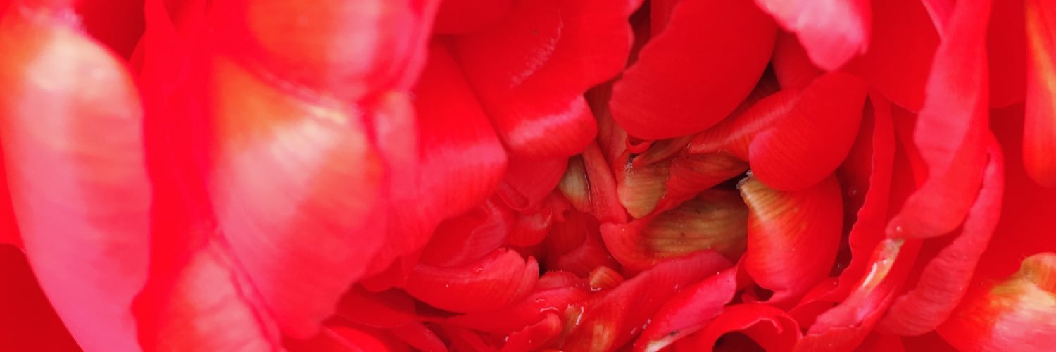 NGGardening's profile banner image