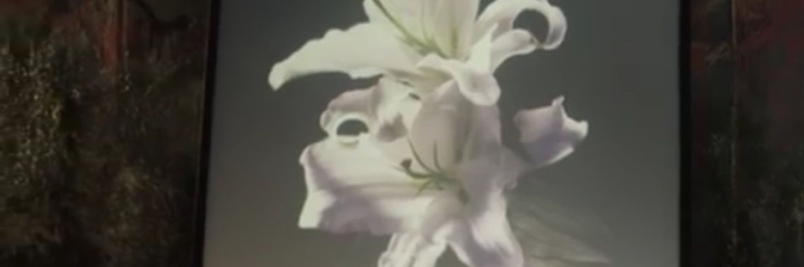 bantanyozigen's profile banner image