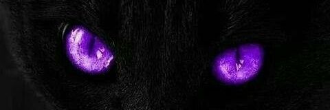 beasleybeans's profile banner image