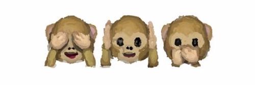 MonoBauerK's profile banner image