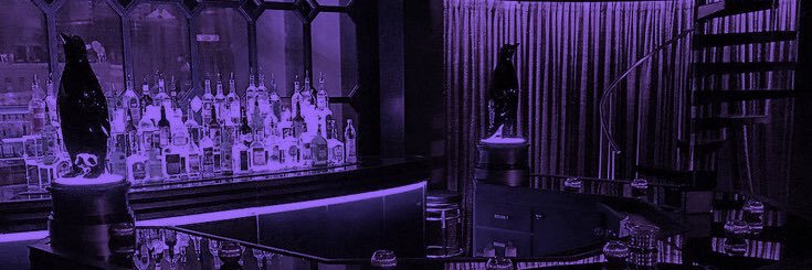 NotKapelput's profile banner image