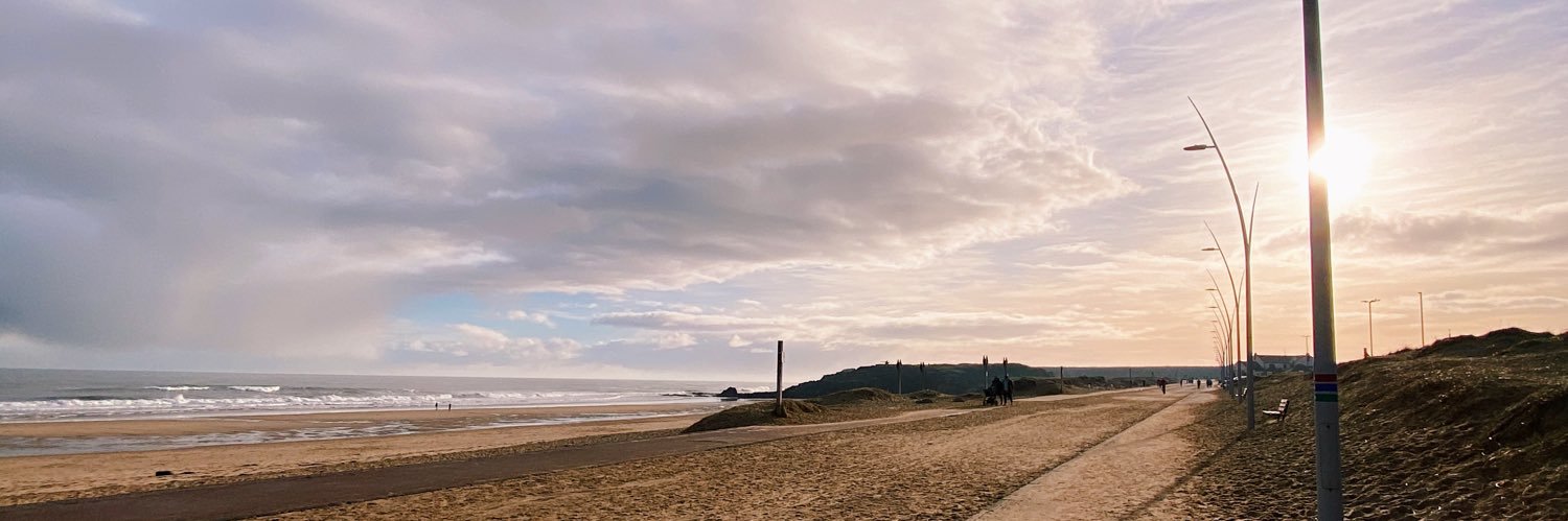Hannah Wood banner