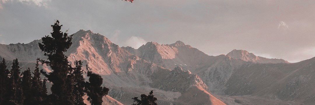 Lexi_Spike89's profile banner image