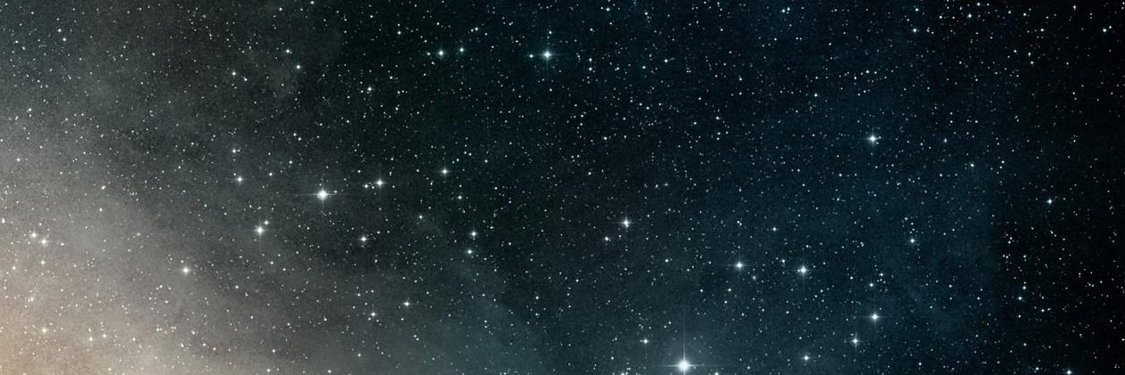 Bernie Universe banner