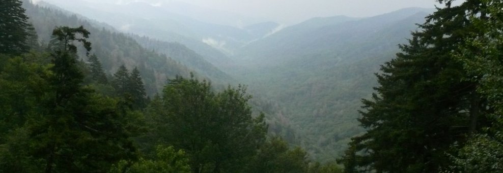 SarannPence's profile banner image
