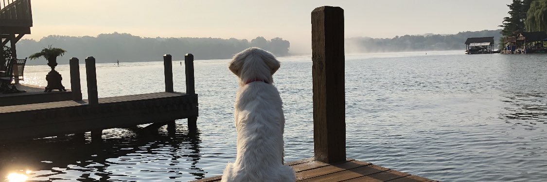 RiccobonoSam's profile banner image