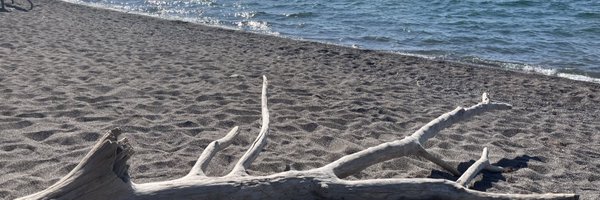 NancyHamzawi Profile Banner