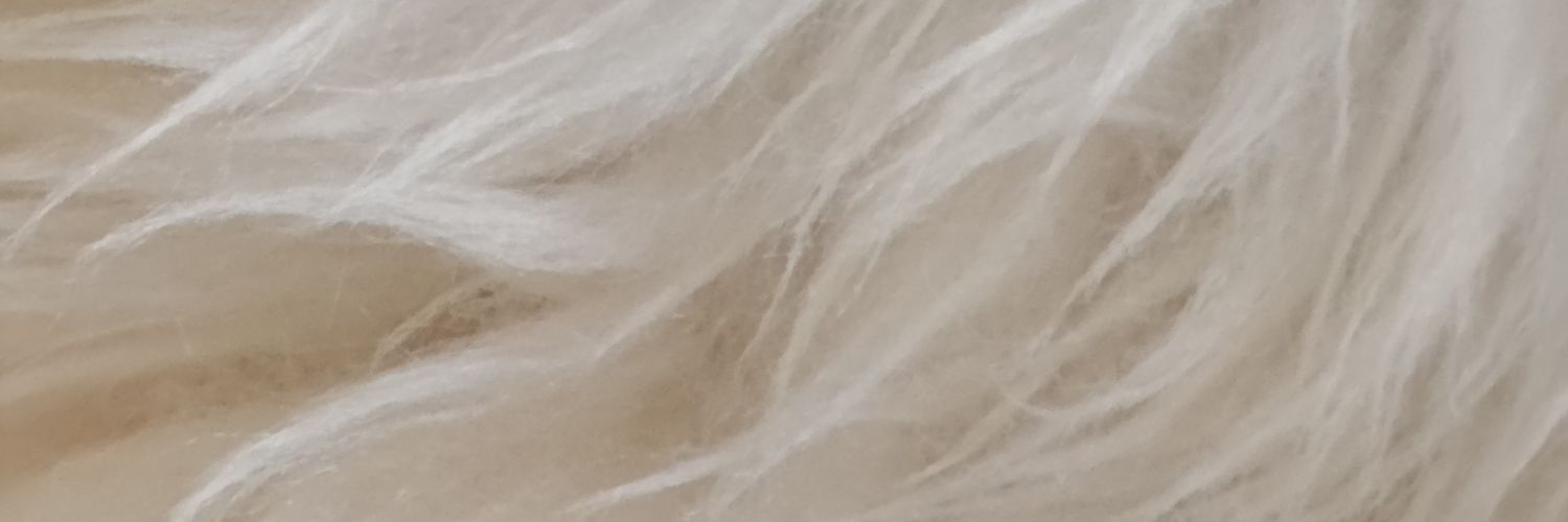 dkjules74's profile banner image