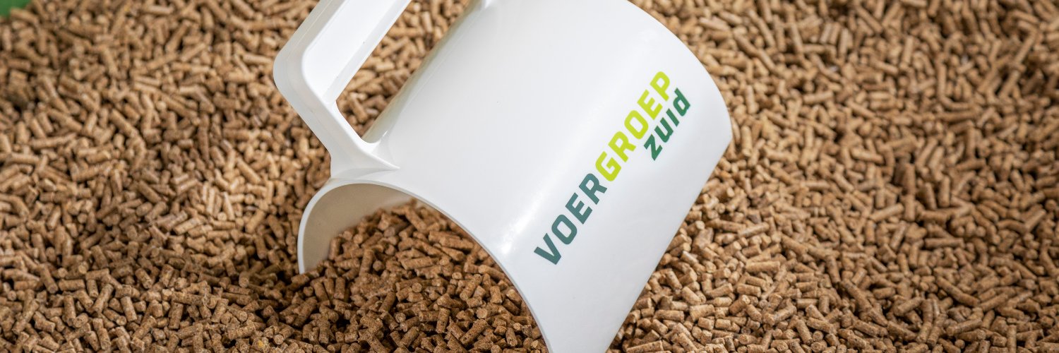 VoergroepZuid's profile banner image