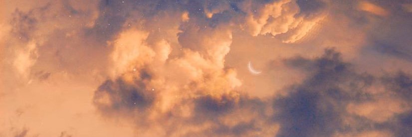 lupemd4's profile banner image
