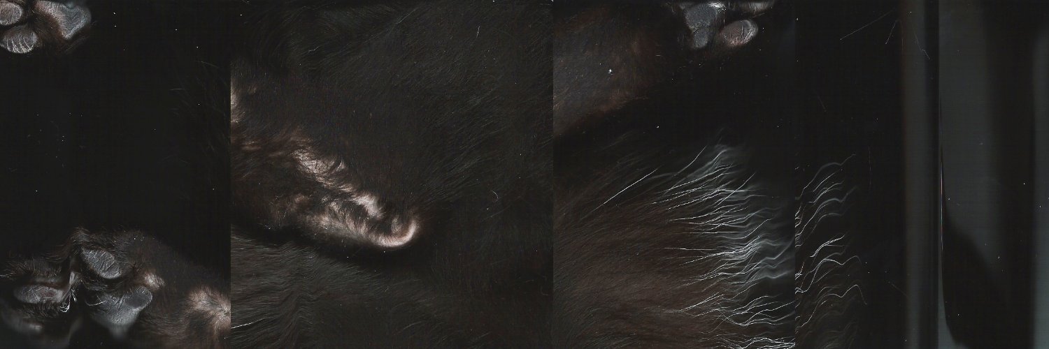 you effo's banner