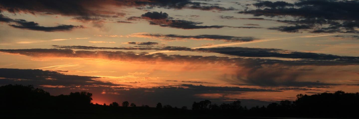 mgdevries_'s profile banner image