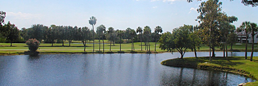 Ricka #Resists banner