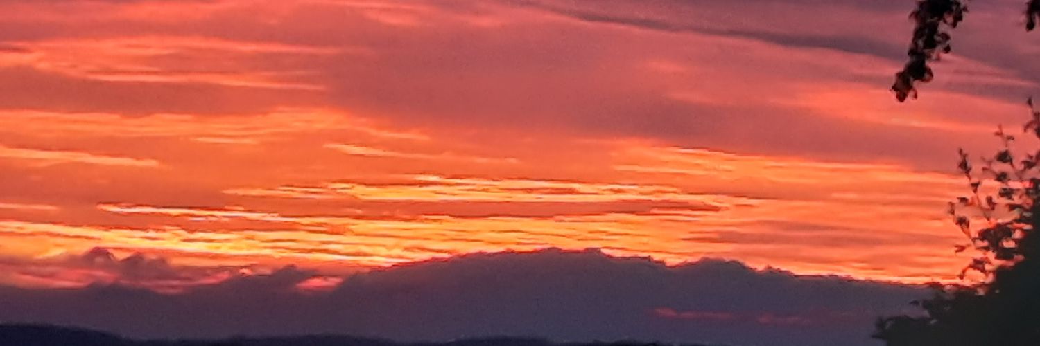 Alilac (awomanofacertainage) banner