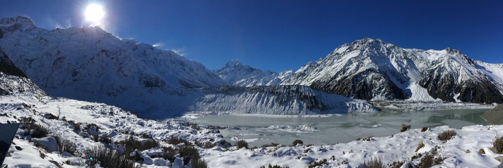 Dr. Roisin Commane banner