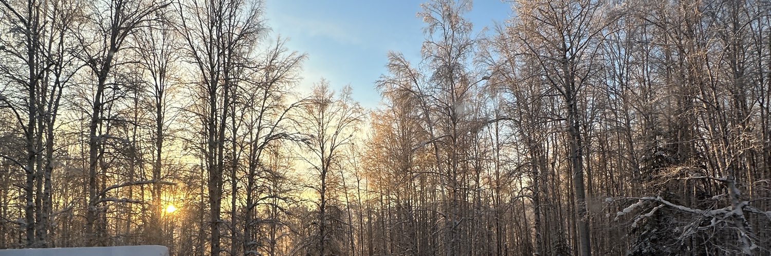 AudreyLynncox2's profile banner image